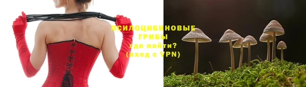 Альфа ПВП Лиски