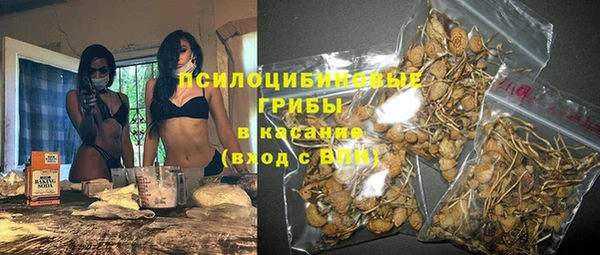 Альфа ПВП Лиски