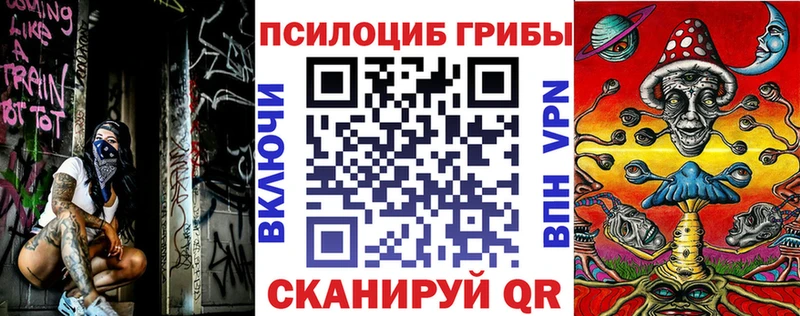 Псилоцибиновые грибы мухоморы  закладка  Щигры 